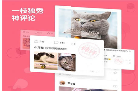 日頭條推送了一款名叫“皮皮蝦”的app 日頭條推送了一款名叫“皮皮蝦”的app