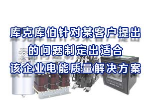 庫(kù)克庫(kù)伯根據(jù)某客戶開關(guān)室提出的問題制定出適合該企業(yè)電能質(zhì)量解決方案