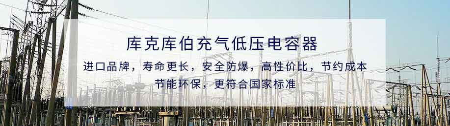 充氣式低壓電容器特點 充氣式低壓電容器特點