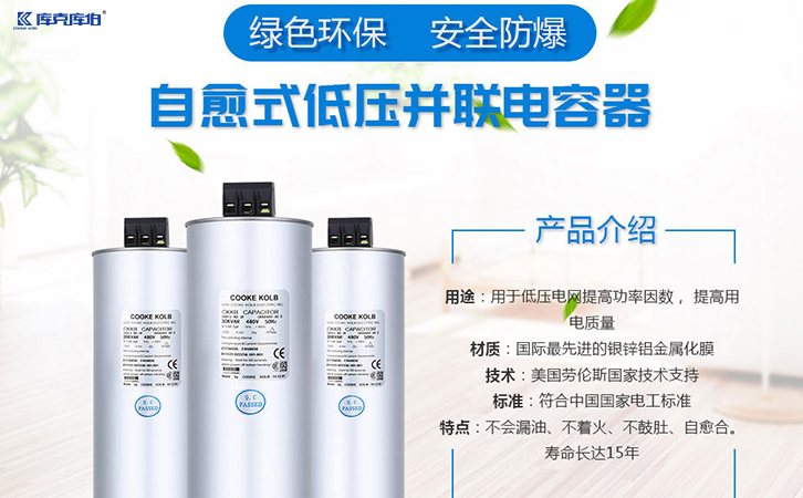 低壓電力電容器廠家實力排名